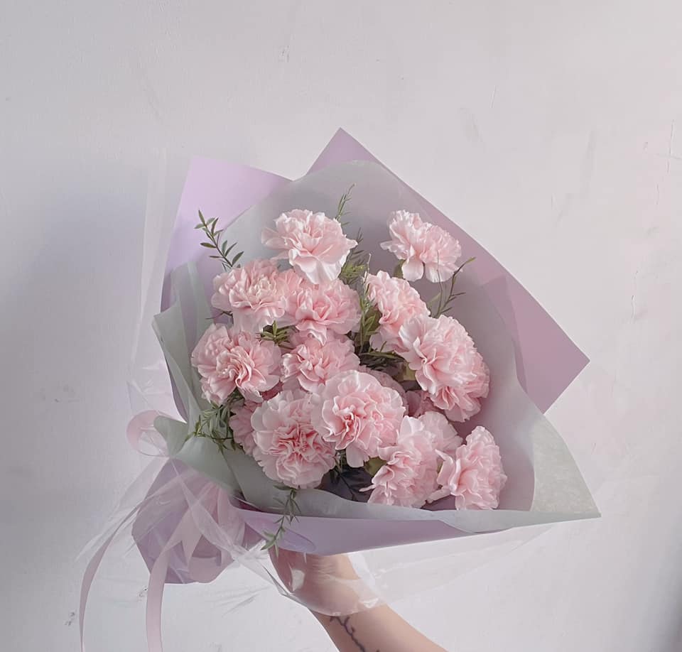 Bó Hoa Cẩm Chướng