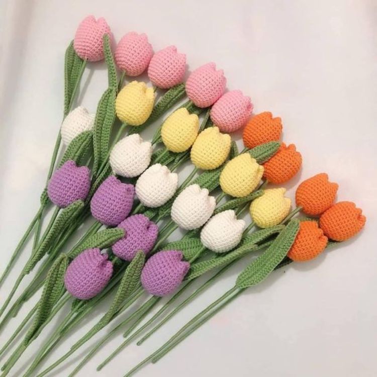 Hoa Tulip Len dạng Tròn